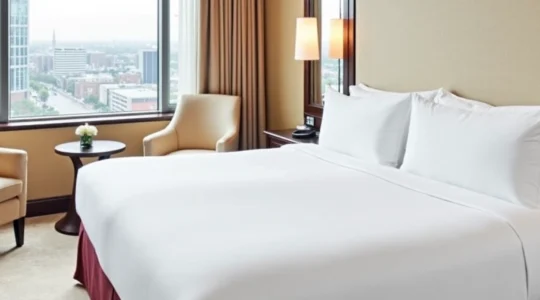 Spacious Hotel Suites